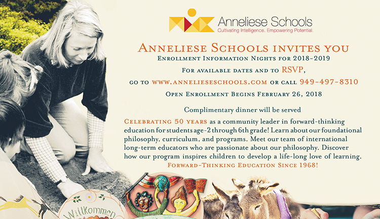 Anneliese Schools