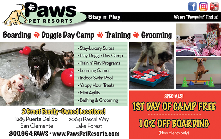 Paws Pet Resorts