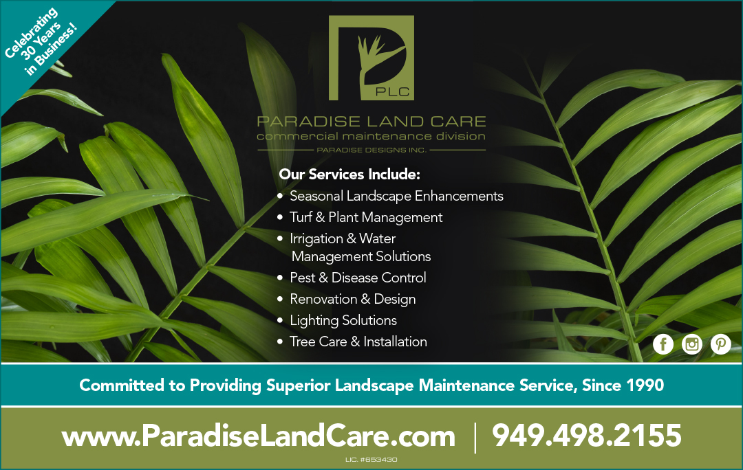 Paradise Designs Inc.