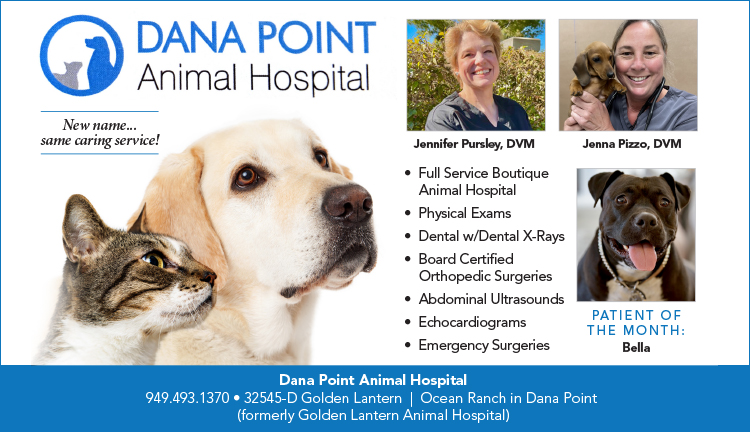 Dana Point Animal Hospital