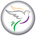 Paloma Medical Group