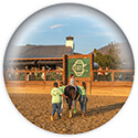 Chukkers