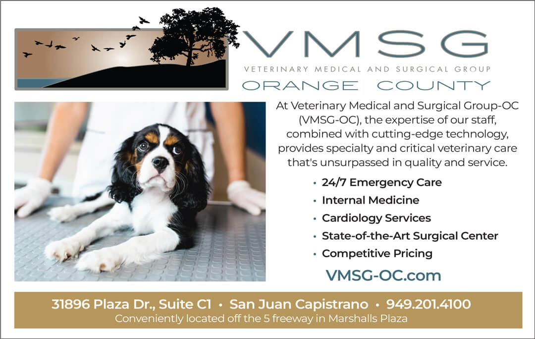VMSG-OC Veterinary Hospital