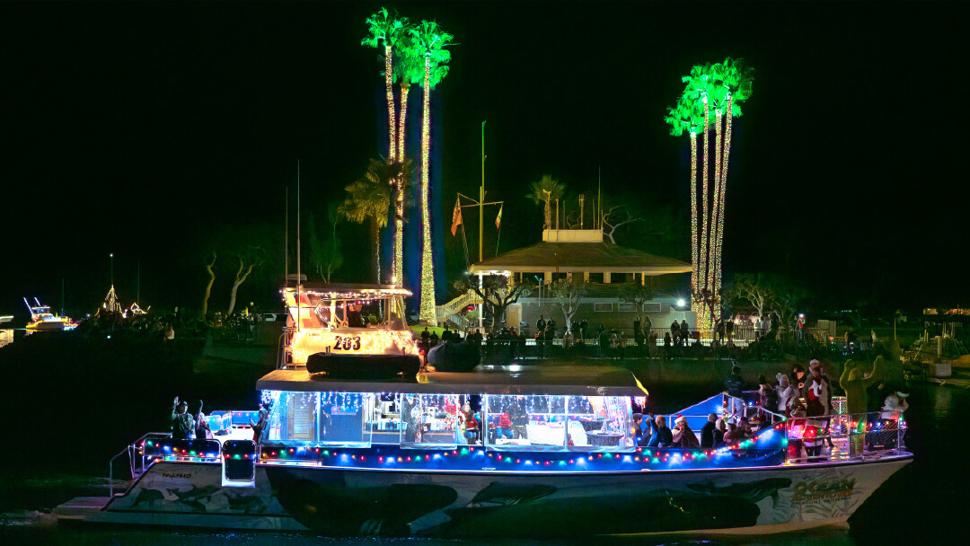 DANA WHARF SPORTFISHING