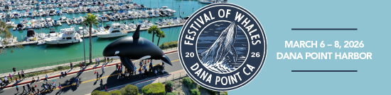 Dana Point Festival of Whales